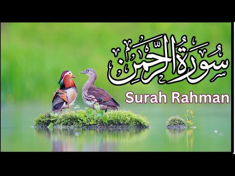 World's most beautiful recitation of Surah Ar-Rahman Episode 703 | Bazm e Quran