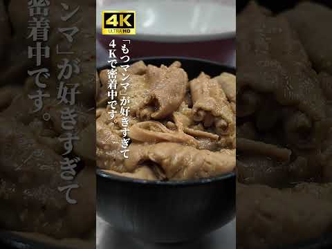 【名物】もつマンマが好きすぎて4Kで密着しました！ #だるま大使 #群馬豚骨 #名物