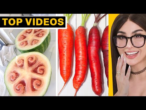 FOOD That Used to Look DIFFERENT | SSSniperWolf