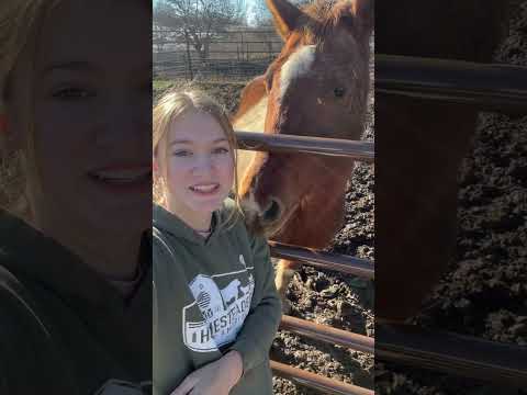 Always take time to bond with your horse ☺️💖🐴