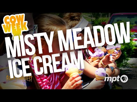 Misty Meadows Creamery | Cow Week