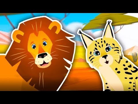 Learn the Sounds of Wild Cats! | Animal Sound Songs for Kids | Kids Learning Videos