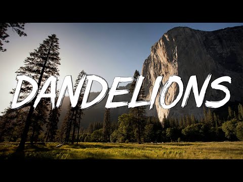 Dandelions - Ruth B. (Lyrics) || Shawn Mendes, Calvin Harris, Dua Lipa... (MixLyrics)