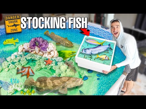 Catching THOUSANDS Of FISH To Stock My SALTWATER POND! (For the last time...)