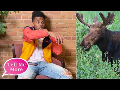 Stuntshow Huncho Recalls The Strangest Animal He's Seen | Tell Me More