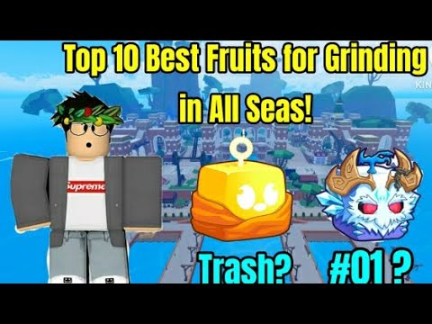 Top 10 BEST Fruits for GRINDING in All Seas! (Update 25) | #bloxfruits