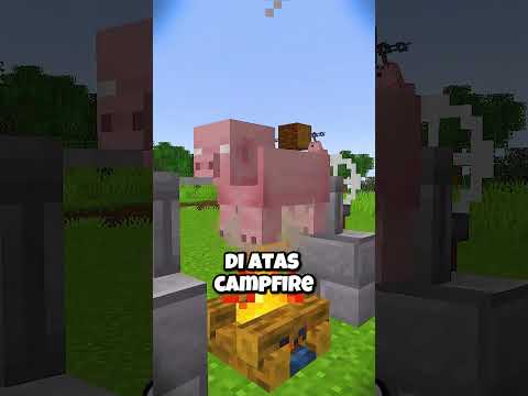 Fitur PSIKOPAT Yang Ada Di Minecraft