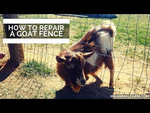 How To Repair A Goat Fence