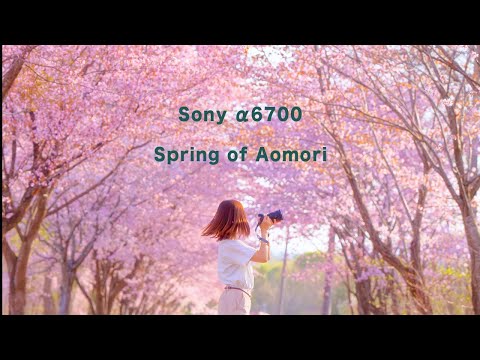 Sony α6700で撮る春の青森