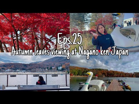 Autumn leaves viewing at Nagano ken Japan • Criz Vlog • EPS. 25