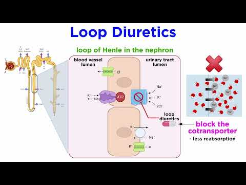 Cardiovascular Volume-Regulating Drugs