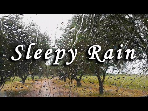 Rain Sounds To Fall Asleep, Relaxing Rain Drops On Window, ASMR Surround Sound Deep Sleep Video