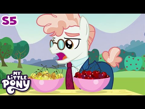 My Little Pony | The Mane Attraction | COMPILATION | Friendship Is Magic Season 5