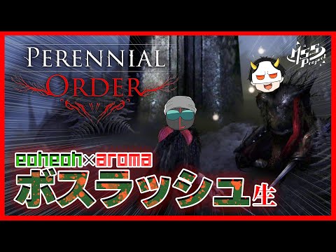 一撃食らったら死！ソウルライクダークファンタジーを2人でプレイ！【Perennial Order】