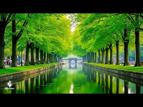 Restores The Nervous System 🌿 Stop Overthinking, Stress Relief Music, Sleep Music #3