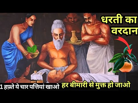 धरती का वरदान 4 पत्ती खा लेना, शरीर कभी बीमार नहीं होगा | How to Heal Body Naturally | Buddha Story