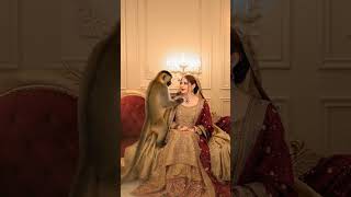 Neelam Muneer Walima Video with new pet #newvideo #weddingvideo #monkey  #romantic