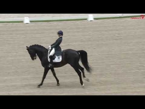 International Dressage Competition CDI-U25 Charlotte Fry