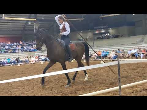 The Garrocha Ride. (Gala of the royal horse)