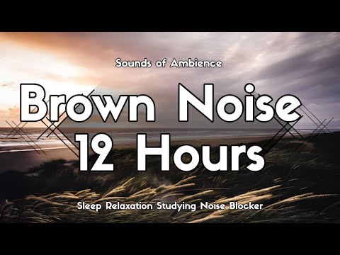 12 Hours of Tranquility: The Ultimate Brown Noise Mix for Relaxation, Sleep, and Studying