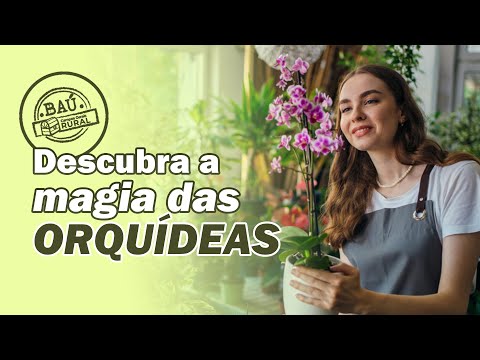 EXPLORANDO O ORQUIDÁRIO E CACTÁRIO TAMAN BATOE #BaúCGRural