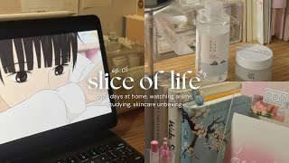 slice of life 🍵 cozy days at home, watching anime, studying, skincare unboxing