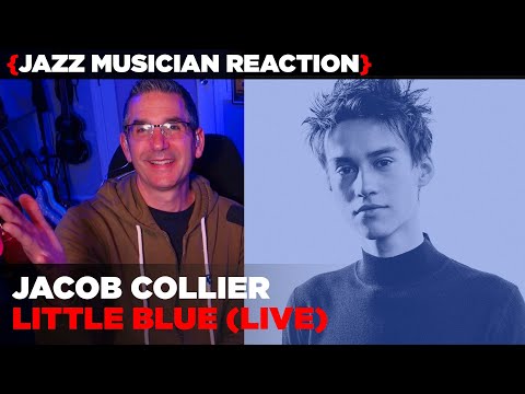 Jazz Musician REACTS | Jacob Collier "Little Blue" (LIVE)  | MUSIC SHED EP388