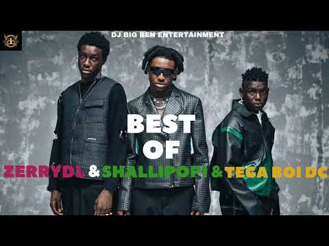 BEST OF SHALLIPOPI  & ZERRYDL & TEGA BOI DC  #shallipopi #amapiano #entertainment #9jamusic