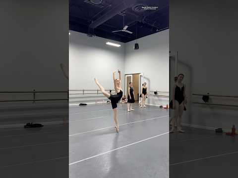 Part 2 #ballerinas #ballet #ballerina #balletdancer #dancer #balletdance