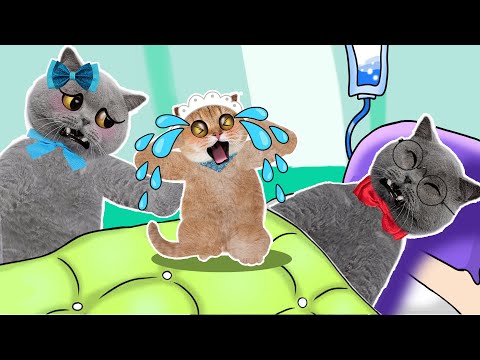 Daddy, please wake up! I want you to play with me!! Sad Story Cat Story Animation