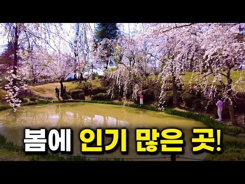 Korea's Amazing Travel Destinations👍