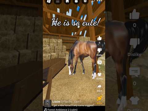 (I did this in Roblox) #horses  #strideway #roblox #edit #shorts