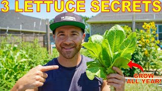 Growing Lettuce: You're Doing It WRONG! 3 Tips To Grow TONS Of Lettuce All Year Long in Any Climate!