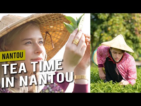 Make Your Own Tea at the Nantou Tea Plantation |📍𝑵𝒂𝒏𝒕𝒐𝒖 | Come Away with Me