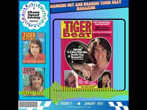 Tiger Beat Magazine: Reminiscing Our Teen Idol Memories  #shauncassidy #podcast #teenidolmagazine