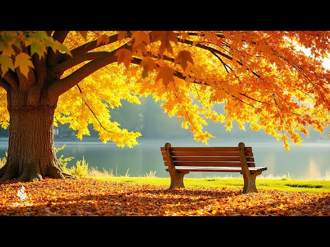 Beautiful Relaxing Music 🍁 Stop Overthinking, Stress Relief Music With Autumn Melodie #5