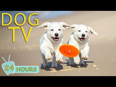 DOG TV: Best Engaging & Relax Videos for Dogs to Watch - Music Anxiety & Boredom Relief for Dogs