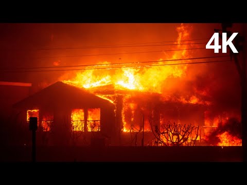 The Wildfires | A Tribute to the Wildfires of Los Angeles & California [4K]