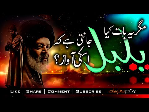 YUNUS EMRE - RAH-E-ISHQ | TAPDUK EMRE | SEASON 1| EPISODE | URDU DUBBING | Mukhtasar Maloomat