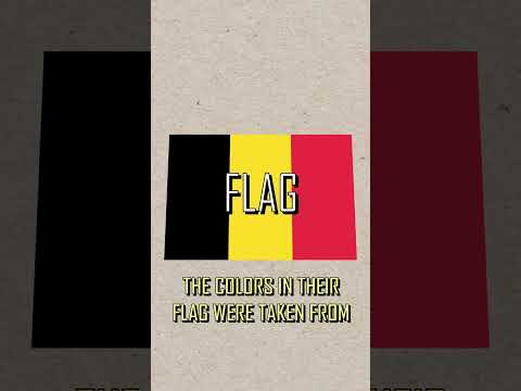 10 Things That You Didn't Know About Belgium #shorts