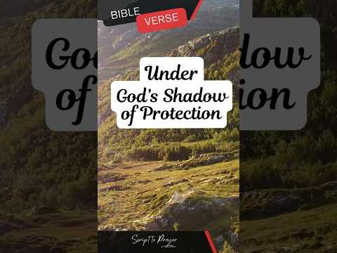 Under God's Shadow of Protection - Psalms 91:1