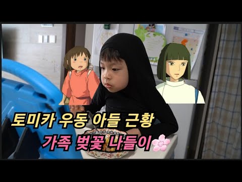 토미카 우동 아들 근황ㅣ feat.가족 벚꽃 나들이