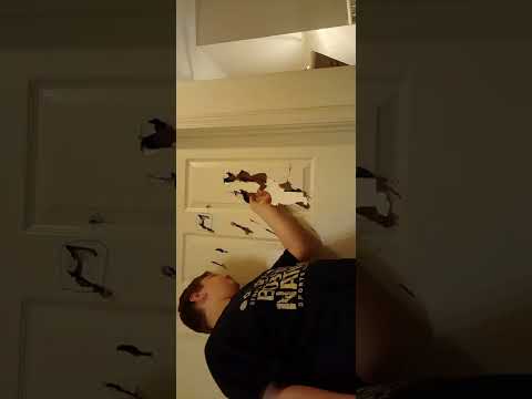 destroying my door(I'm grounded)