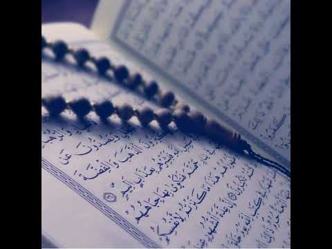 The Holy Quran Live Stream