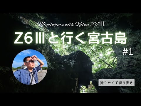 【青い海とサバイバル】Nikon Z6Ⅲと行く初めての宮古島 1  【撮りたくて練り歩き】