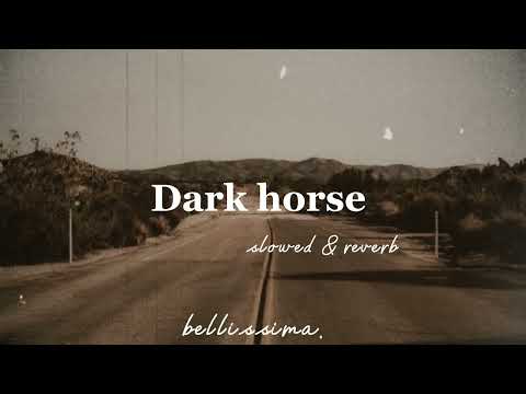 Dark horse // {slowed & reverb}