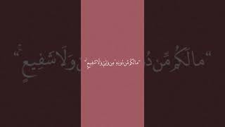 #لا إله إلا الله#الله أكبر#قرأن🤍