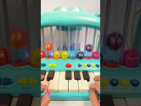 funny Hippo Piano #shorts #piano #hippo #music #trending #satisfying