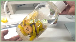 カリンを頂いたので、カリン酒を作ってみた！！【手作り果実酒】