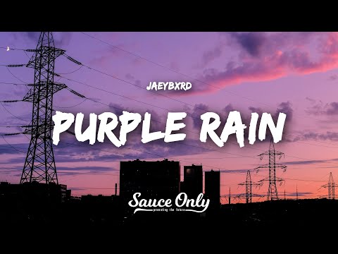 JaeyBxrd - Purple Rain (Lyrics)